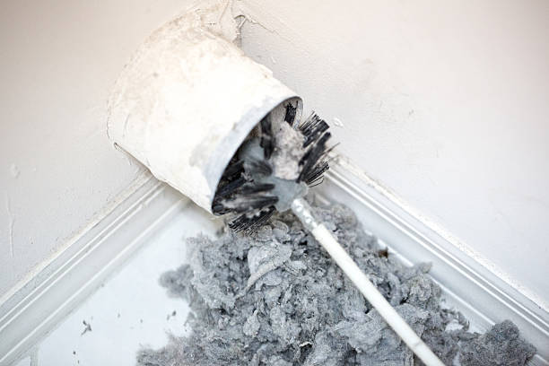 Best Air Duct Sanitizing Services  in USA